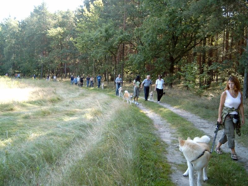 J4100022.JPG - Akita-Treffen in Groß-Köris, September 2006