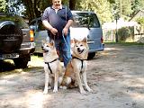 Akita-Treffen in Gro-Kris