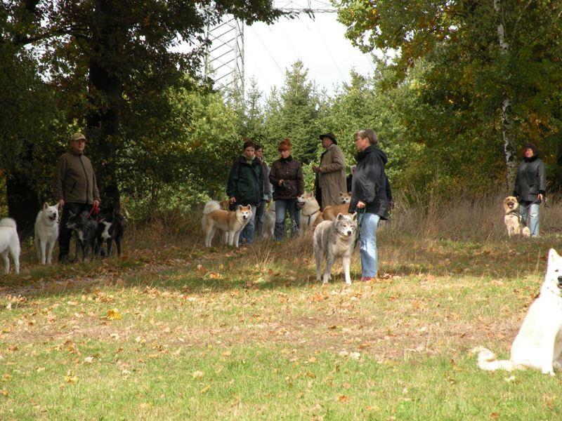 DSCN0105.JPG - Jahreshauptversammlung unseres Japan Akita e. V. in Bebra, Oktober 2008