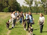 Akita-Treffen in Zossen