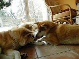 DSCN4714a