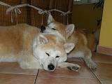 DSCN5063a
