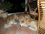 DSCN0612