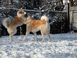 DSCN0763