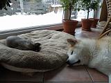 DSCN4678a