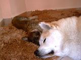 PICT0085