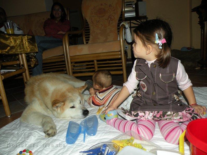 DSCN0545.JPG - Chikoo mit unseren Enkeltöchtern Lia und Annie, Dezember 2008