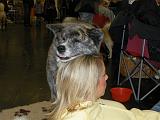 DSCN4244a