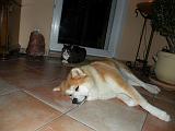 DSCN0596