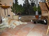 DSCN1124