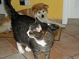 DSCN3846a
