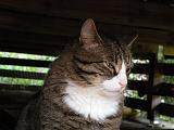 DSCN5118