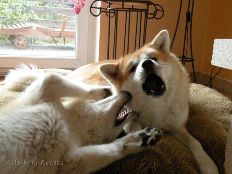 DSCN0184.JPG - Makiko und Koi, August 2008