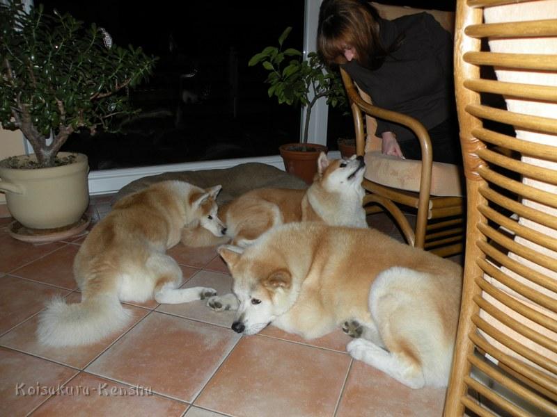 DSCN0611.JPG - Kontaktliegen, Januar 2009