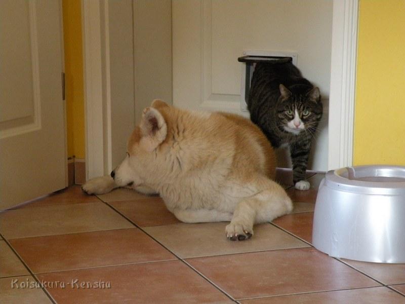 DSCN0966.JPG - Makiko und Oskar