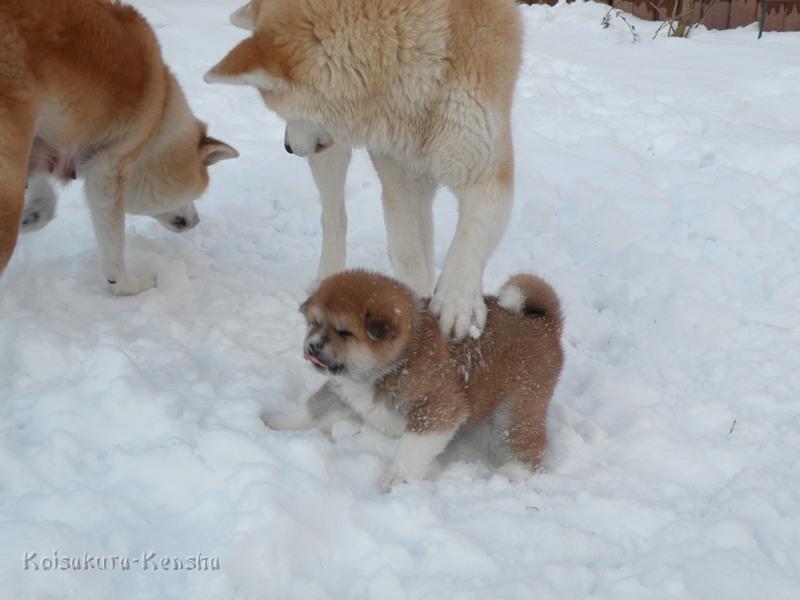 DSCN1487-4Wo-a.JPG - Makiko und Akashio