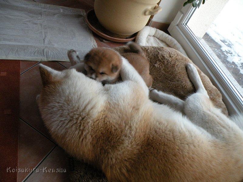 DSCN1516-4Wo.JPG - Makiko und Akashio