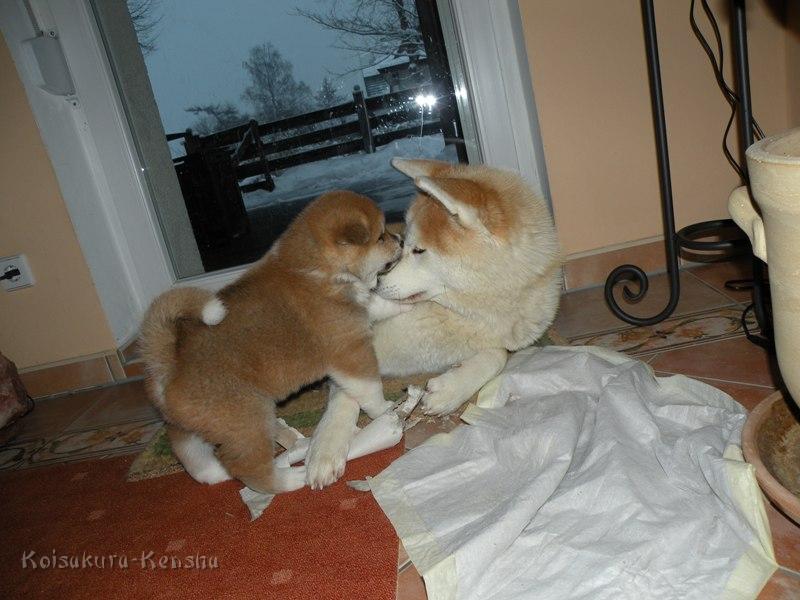 DSCN1527-4Wo-a.JPG - Makiko und Akashio