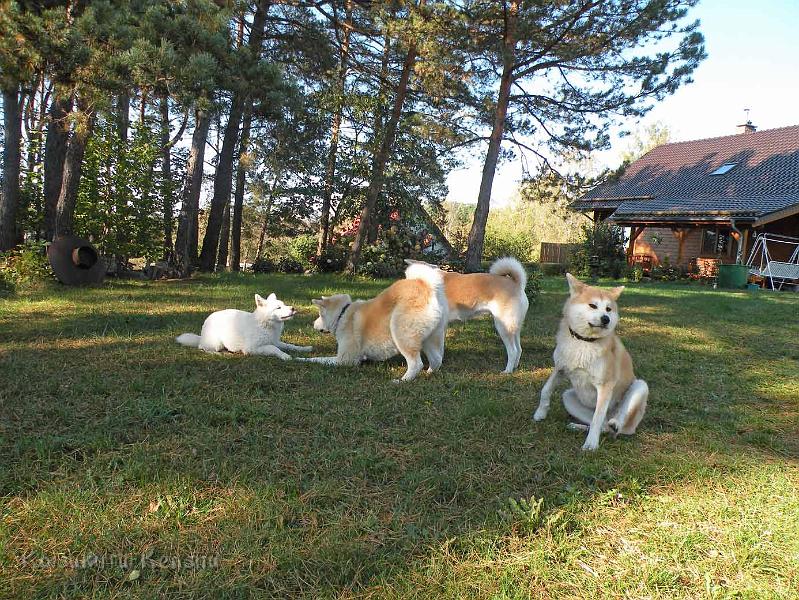 DSCN1775.jpg - Besuch bei Yuki im Oktober 2011