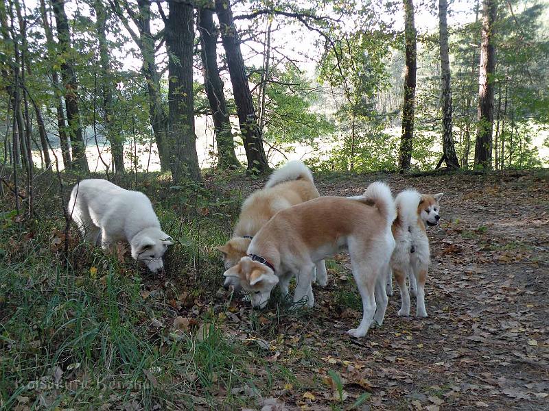 DSCN1830.jpg - Besuch bei Yuki im Oktober 2011