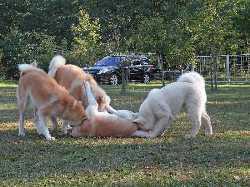 DSCN1878.jpg - Besuch bei Yuki im Oktober 2011