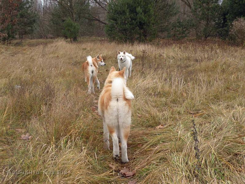 DSCN2085.jpg - Besuch von Chuyu im Dezember 2011