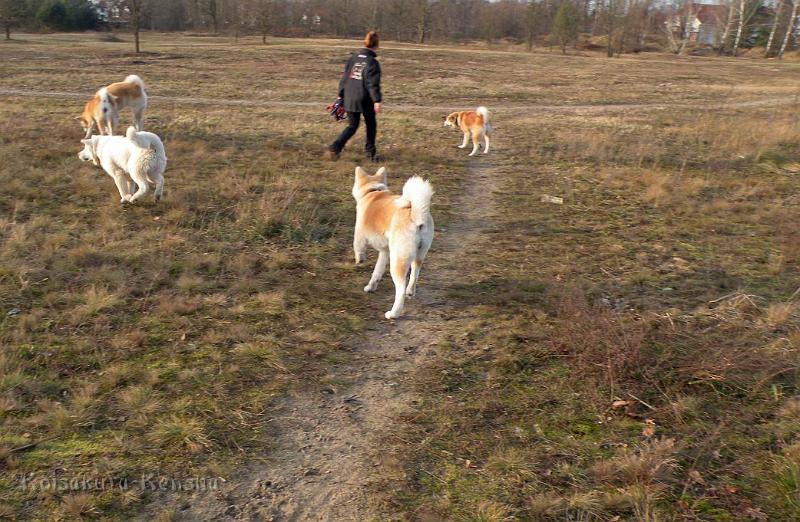 DSCN2135.jpg - Besuch von Yuki im Dezember 2011