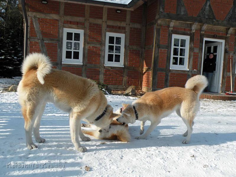 DSCN2499.jpg - Chikoo, Makiko und Harumi in Soltau, Januar 2012