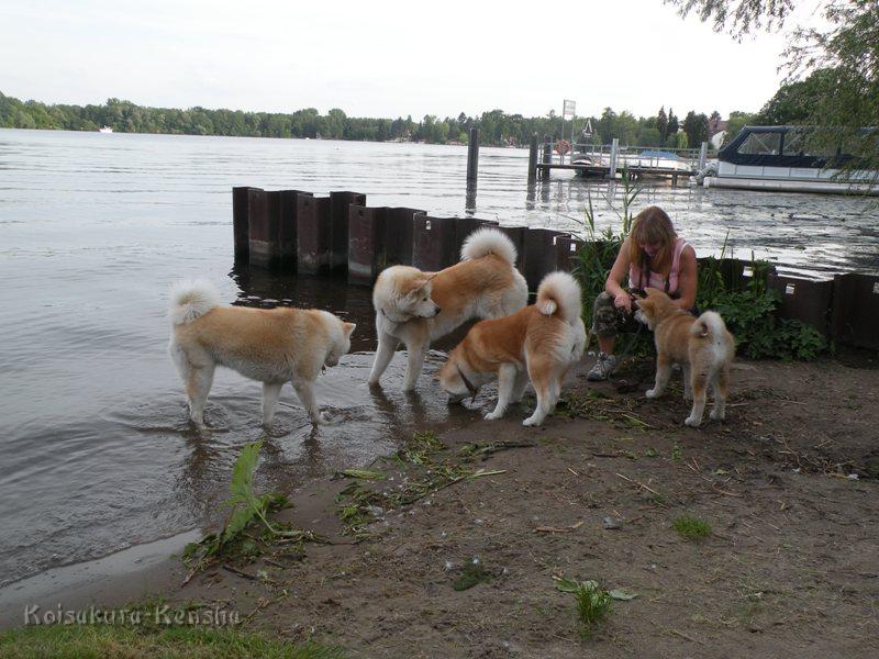 DSCN2727a.JPG - Koi, Makiko, Chikoo und Harumi am Dämeritzsee