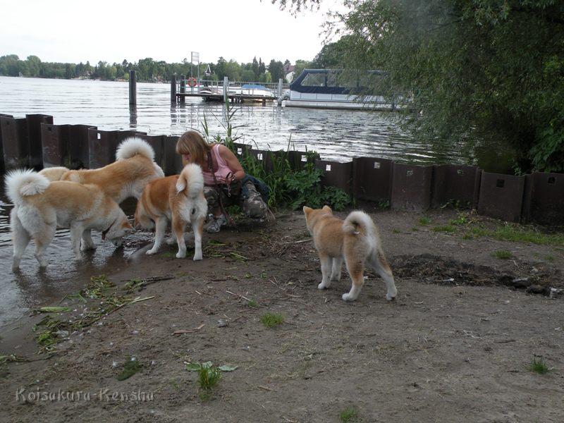 DSCN2729a.JPG - Koi, Makiko, Chikoo und Harumi am Dämeritzsee