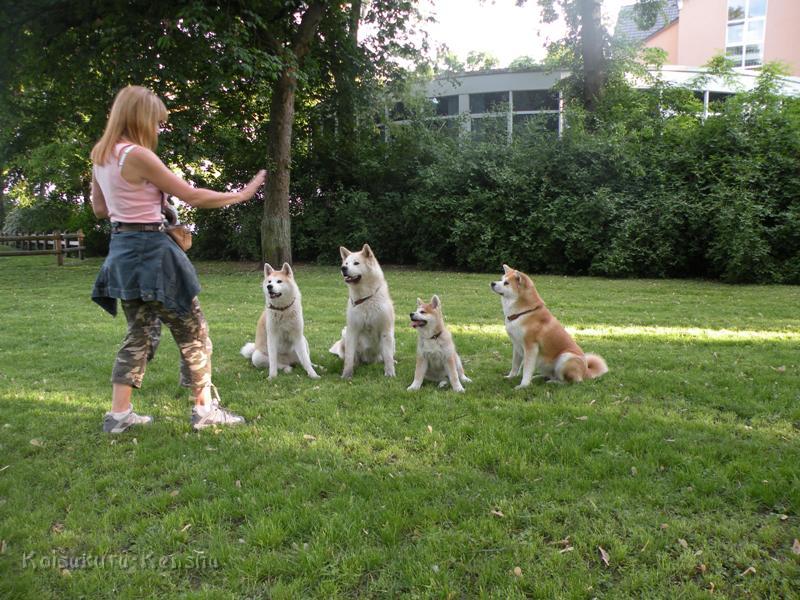 DSCN2768a.JPG - Übung "Sitz" und "Bleib"