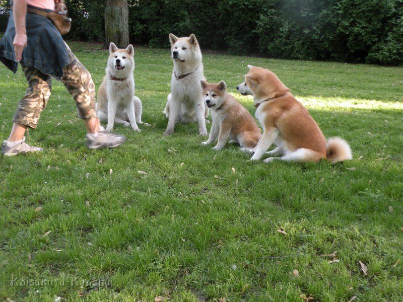 DSCN2774a.JPG - Belohnung