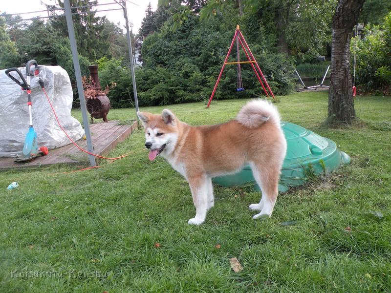 DSCN3125a.JPG - Harumi, Juni 2009