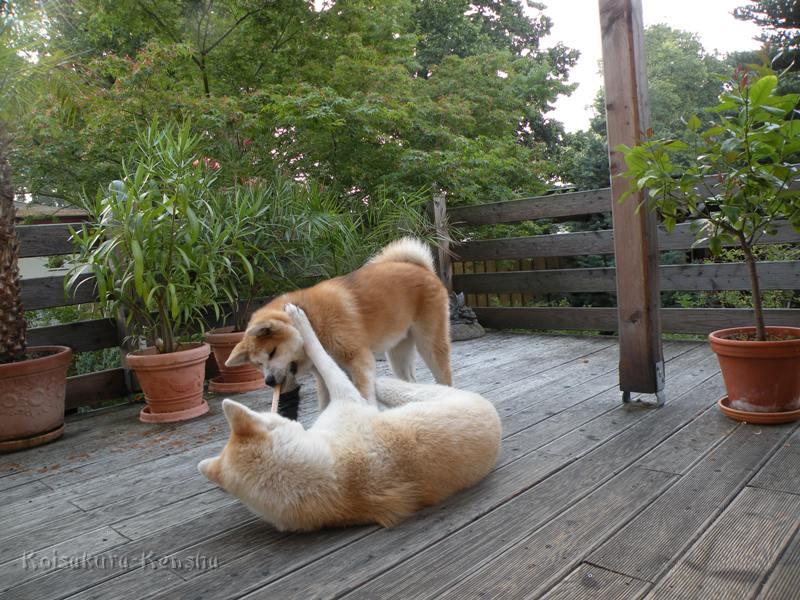 DSCN3246a.JPG - Makiko und Harumi, Juli 2009