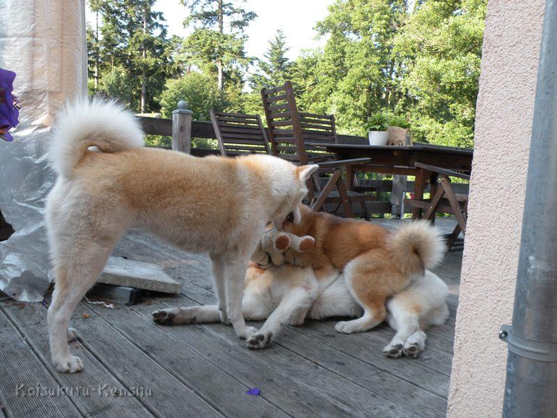 DSCN3413a.JPG - Makiko, Chikoo und Harumi, Juli 2009