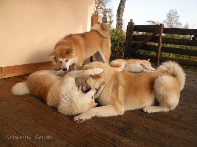 DSCN3876a.JPG - Makiko, Chikoo und Harumi