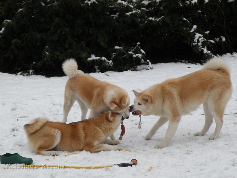 DSCN4097a.JPG - Chikoo, Harumi und Makiko, Dezember 2009