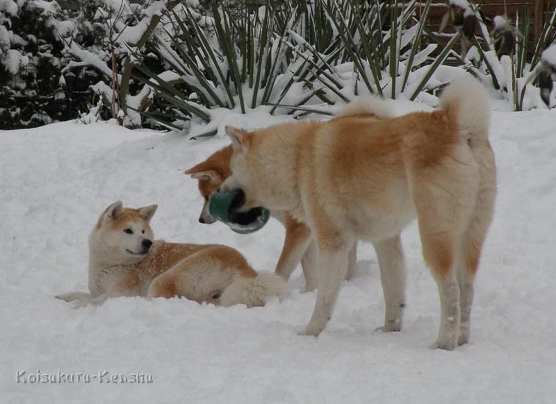 DSCN4186a.JPG - Makiko, Harumi und Chikoo, Dezember 2009