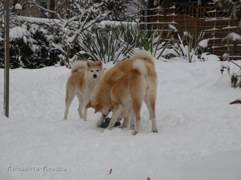 DSCN4189a.JPG - Makiko, Harumi und Chikoo, Dezember 2009