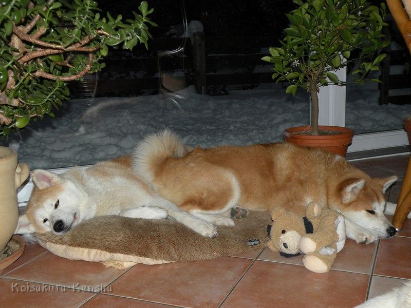 DSCN4232a.JPG - Makiko und Harumi