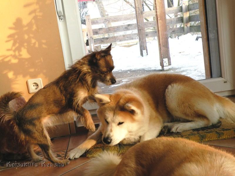 DSCN4531a.JPG - Julie und Makiko