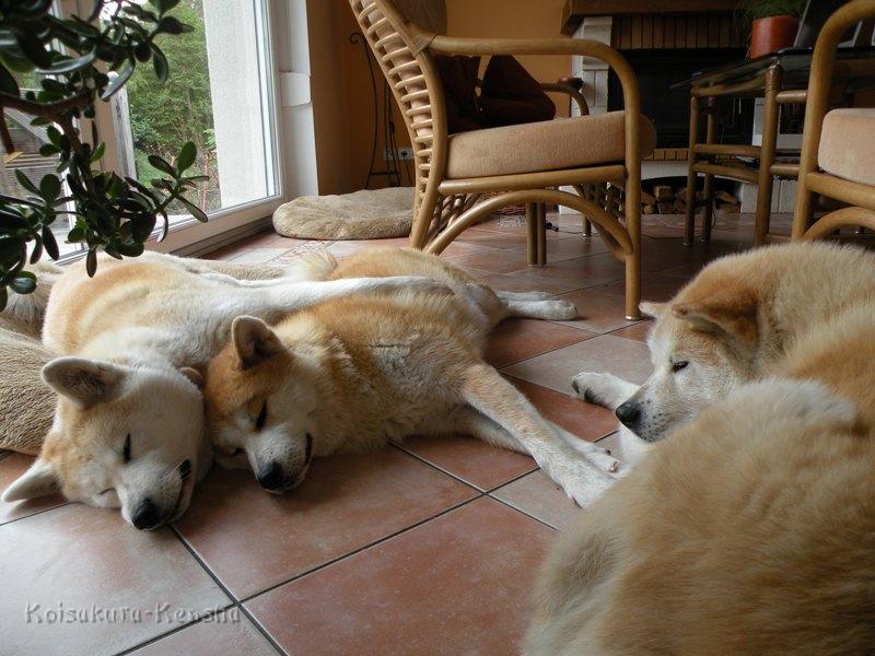 DSCN5100a.JPG - Makiko, Harumi und Chikoo, Juli 2010