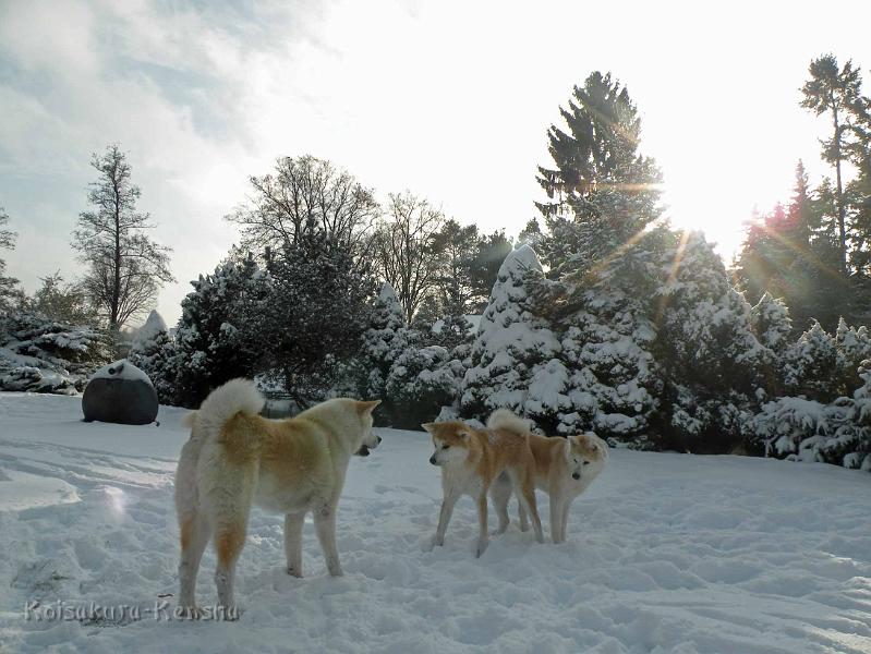 DSCN7554.jpg - Chikoo, Harumi und Makiko im Dezember 2010