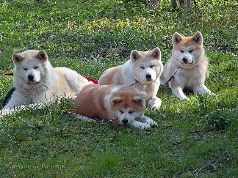 DSCN7863.jpg - Urlaub in Niederhaverbeck 2011