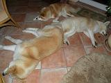 DSCN0552