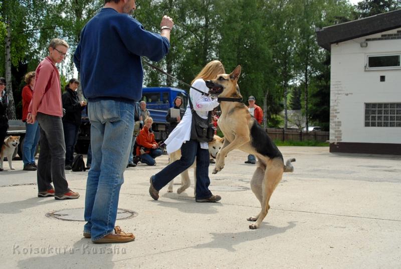 DSC_2417.JPG - Wir können problemlos an ihm vorbeilaufen.