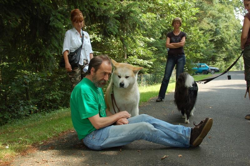 DSC_1093.JPG - Während ein Boarder Colly Rüde vorbeiläuft, bleibt Chikoo konzentriert auf Günther.
(fotografiert von Helga Drogies)