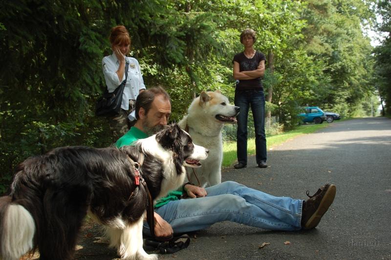 DSC_1094.JPG - Neben Günther zeigen beide Rüden gutes Hundebenehmen. (fotografiert von Helga Drogies)