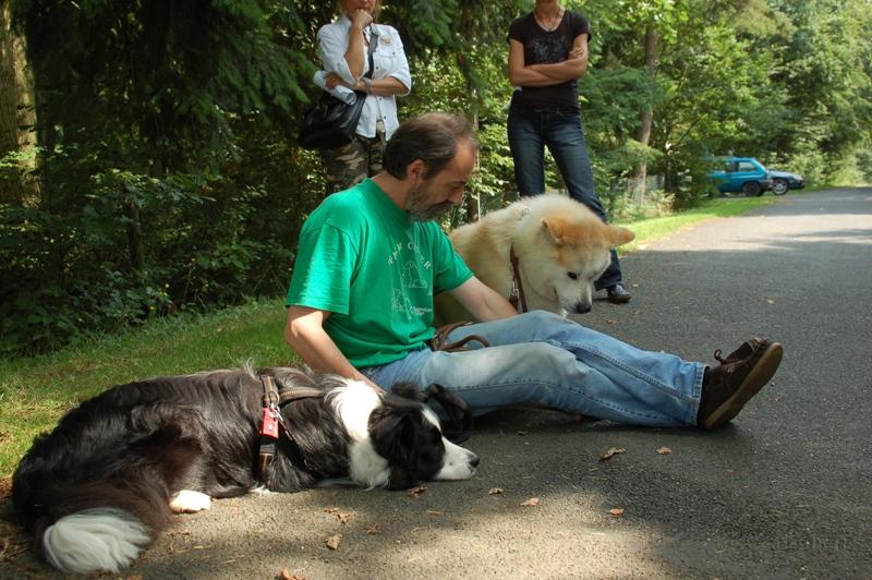 DSC_1096.JPG - Neben Günther zeigen beide Rüden gutes Hundebenehmen. (fotografiert von Helga Drogies)