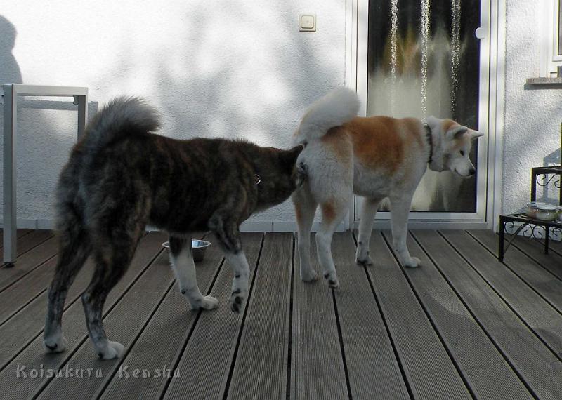 DSCN6191.jpg - Ich glaub', es ist soweit!